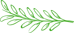 Graphic Stock logo leaf design for digital invitations